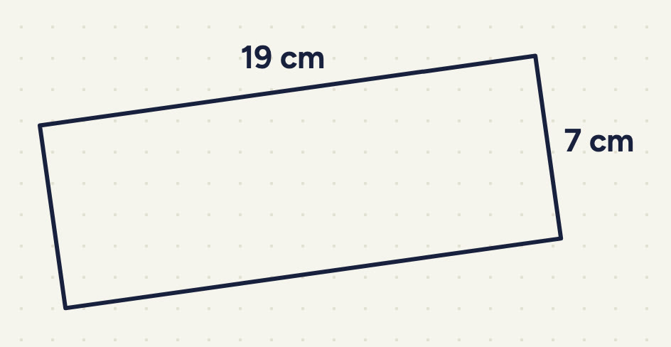 a rectangle drawn slightly tilted, 19 cm by 7 cm.